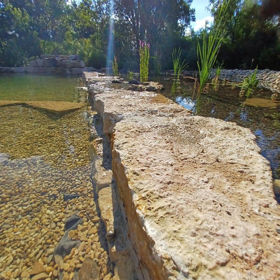 Puravida Appart'S Lagnieu Εξωτερικό φωτογραφία